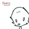 Book / James by Mark Tonra